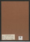 Hemiaulus mitra var. areolatus Grun. (de-Toni-Nr.: Genus 117, Species 3337) Zeichnungen Sammlung Grunow Mappe 03548 (Herbarium_W_Grunow_drawings_Folder_03548)